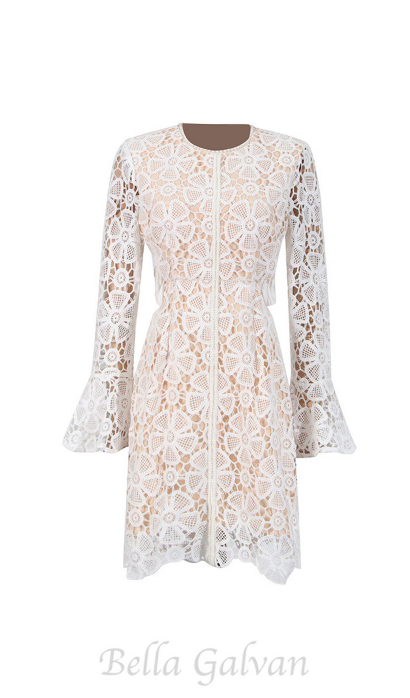 Embroidered hollow mini dress in white