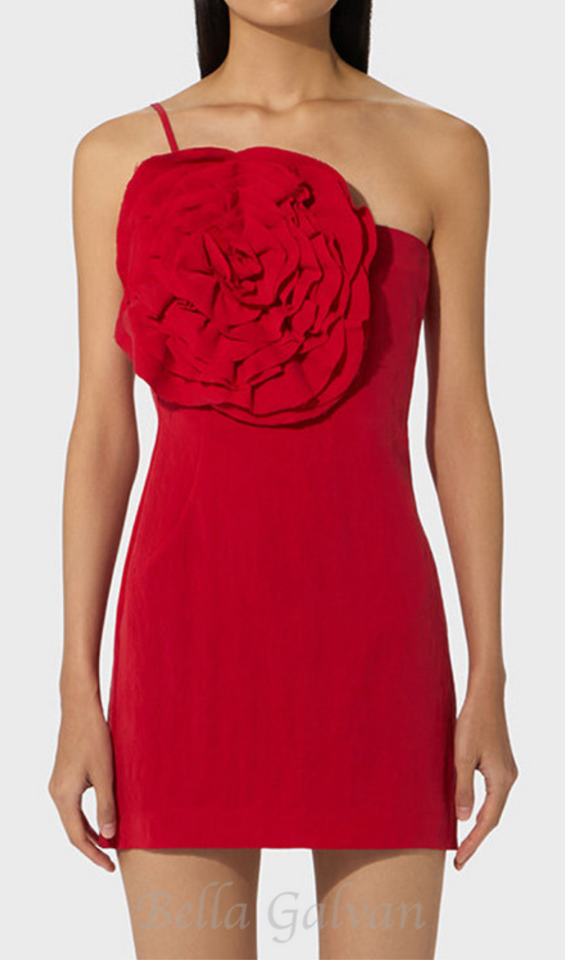 AMITY ONE-SHOULDER FLORAL-APPLIQUÉ MINI DRESS IN RED