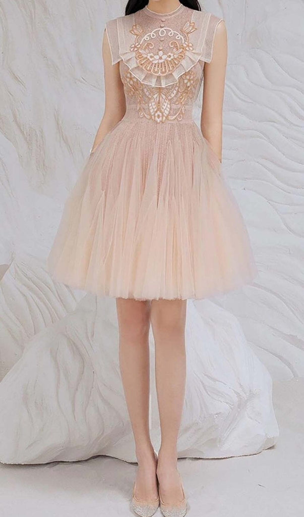 MESH EMBROIDERED SKATER DRESS IN PINK DRESS STYLE OF CB 